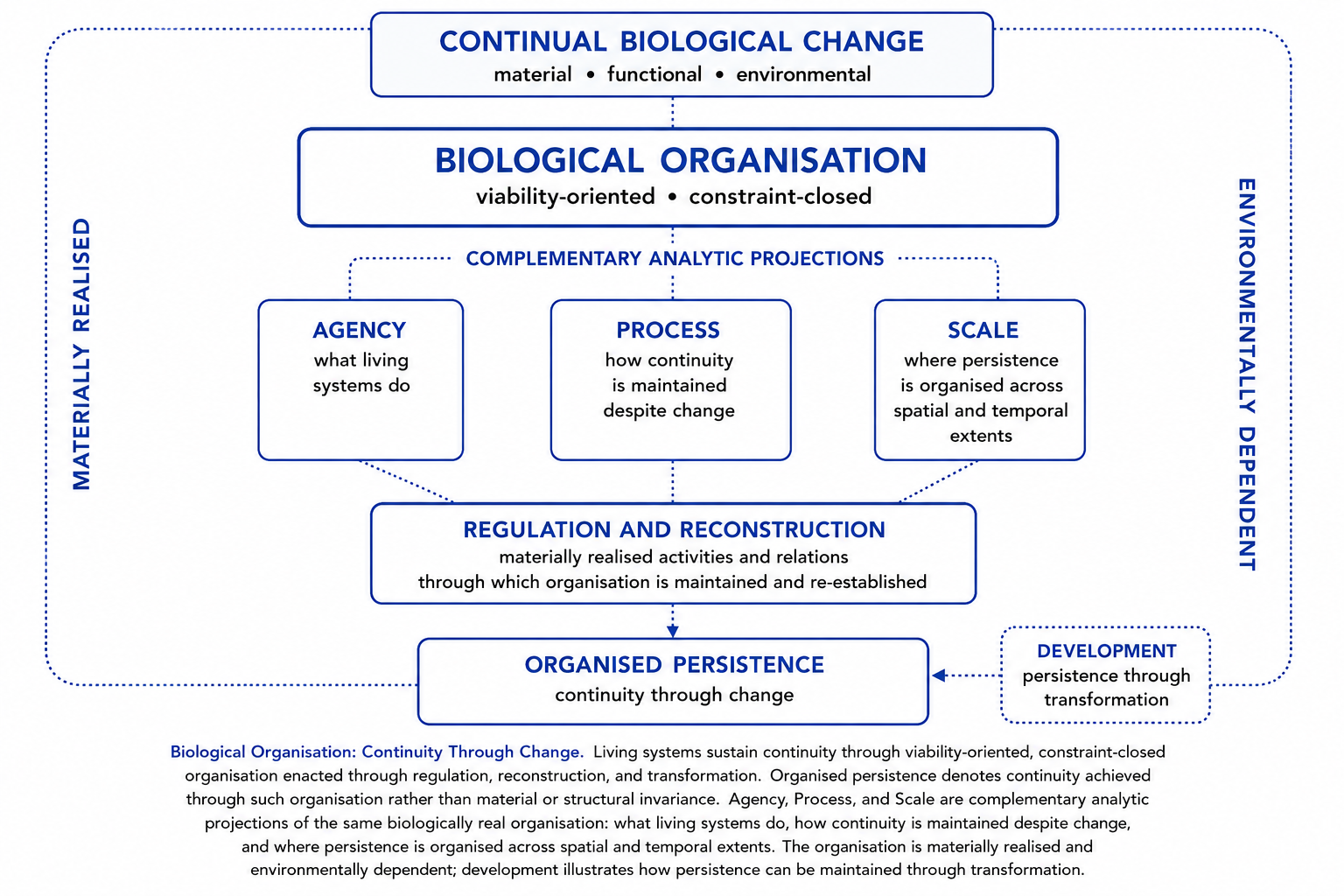 Biological organisation as viability-oriented, constraint-closed organisation considered through the complementary analytic projections of Agency, Process, and Scale, with materially realised regulation and reconstruction relevant to organised persistence through change.