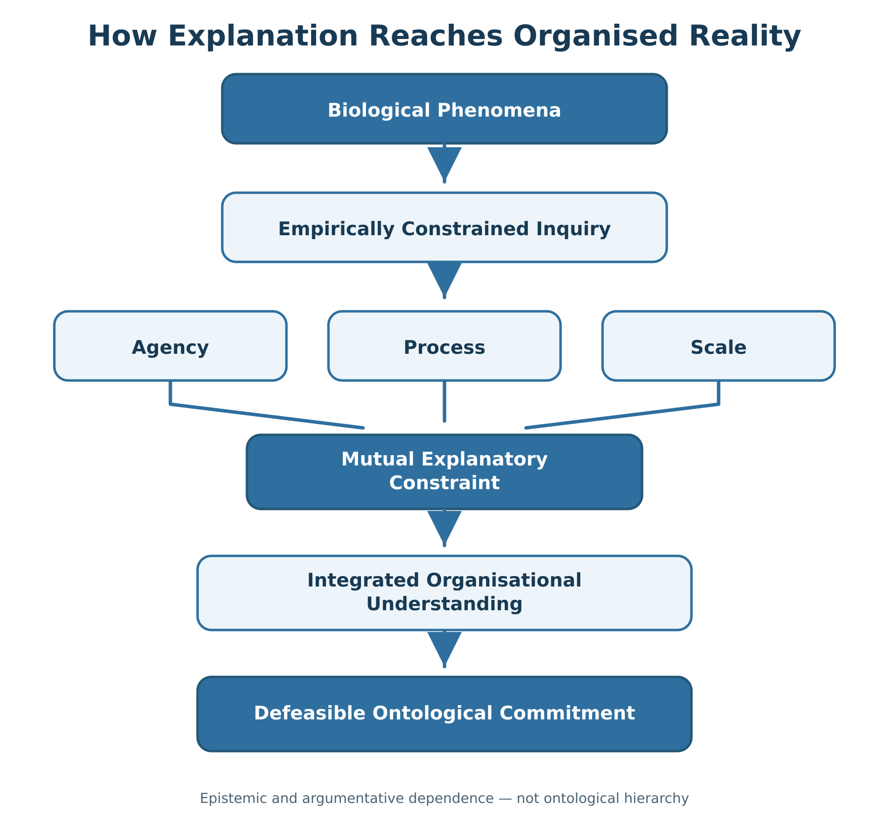Diagram showing biological phenomena investigated through empirically constrained inquiry, with Agency, Process, and Scale converging through mutual explanatory constraint towards integrated organisational understanding and defeasible ontological commitment.