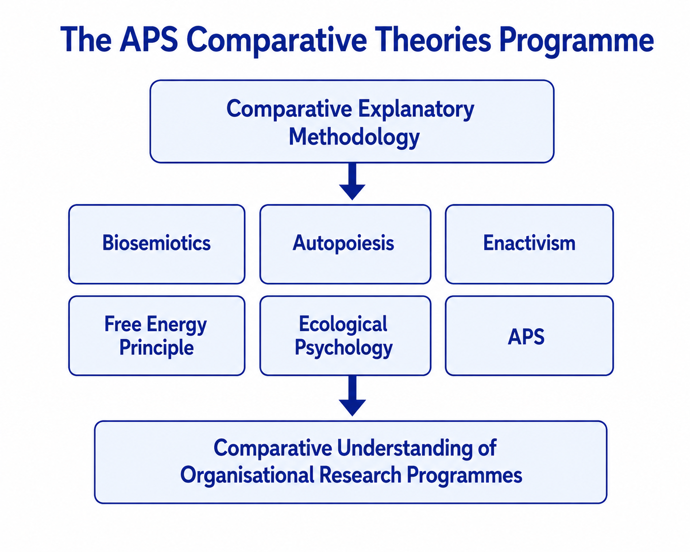 The APS Comparative Theories Programme