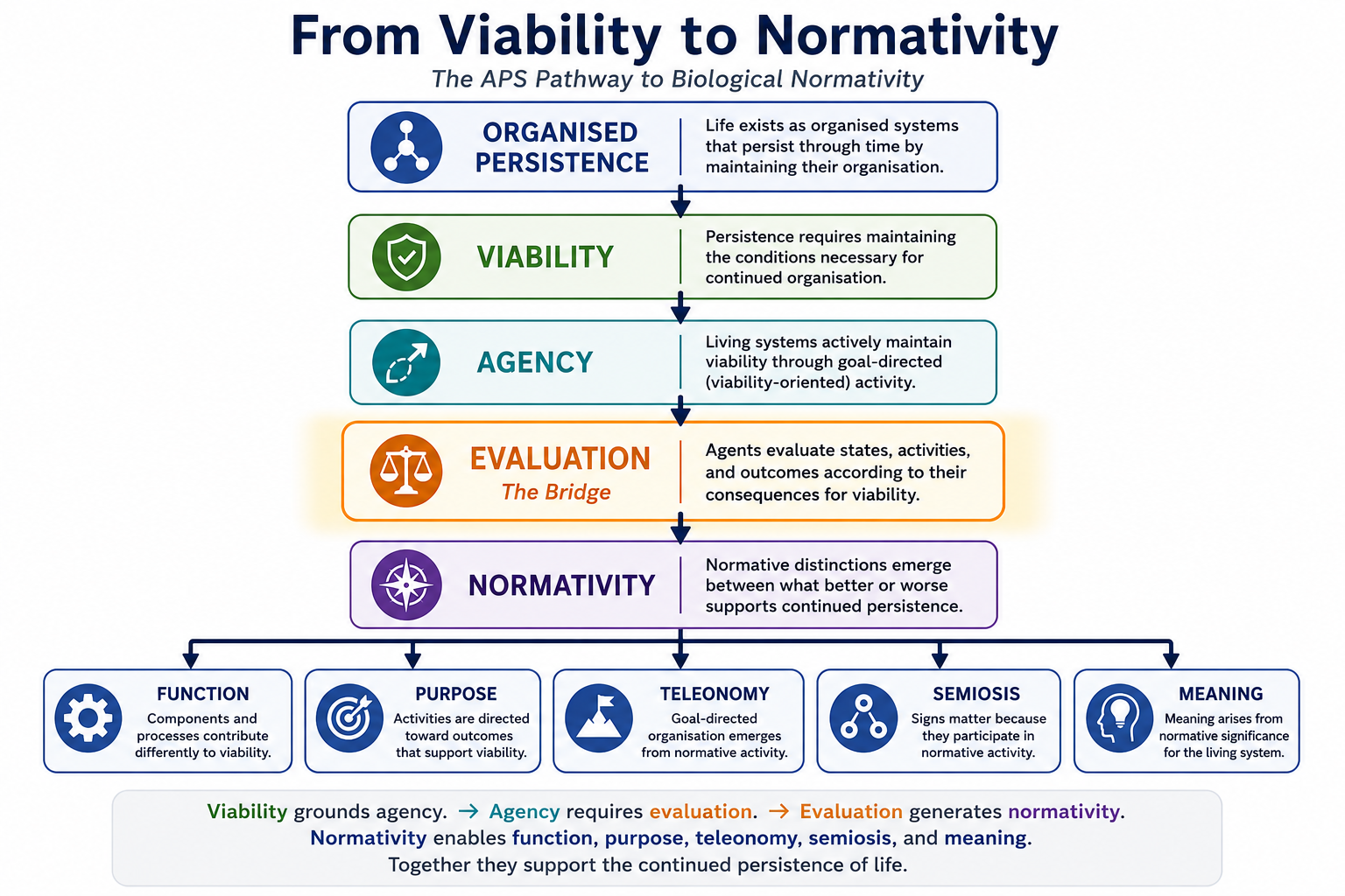 From viability to normativity: the APS explanatory pathway