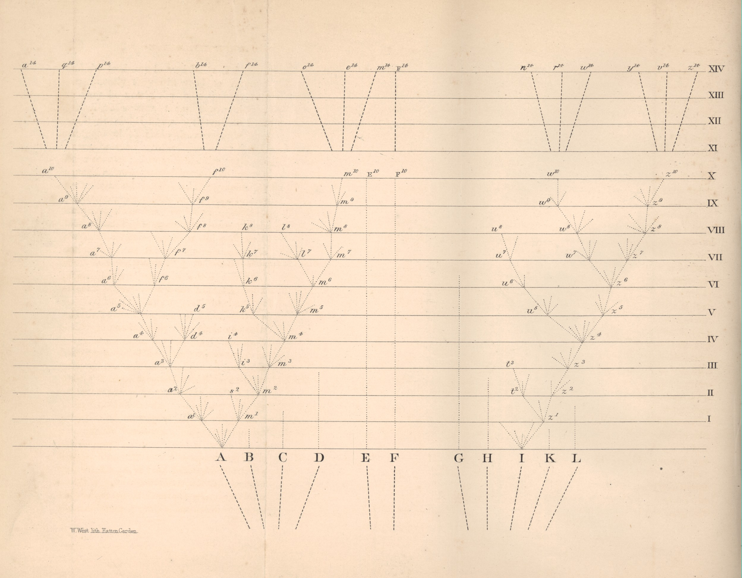 Darwin’s 1859 branching diagram showing divergence of lineages